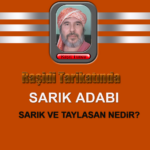 SARIK ADABI