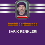 SARIK RENKLERi