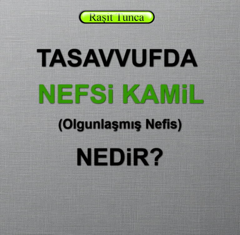 Nefs-i Kâmil - Nefs-i Kâmile (Olgunlaşmış Nefis) Nedir
