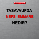 Tasavvufta Nefs-i Emmare Nedir